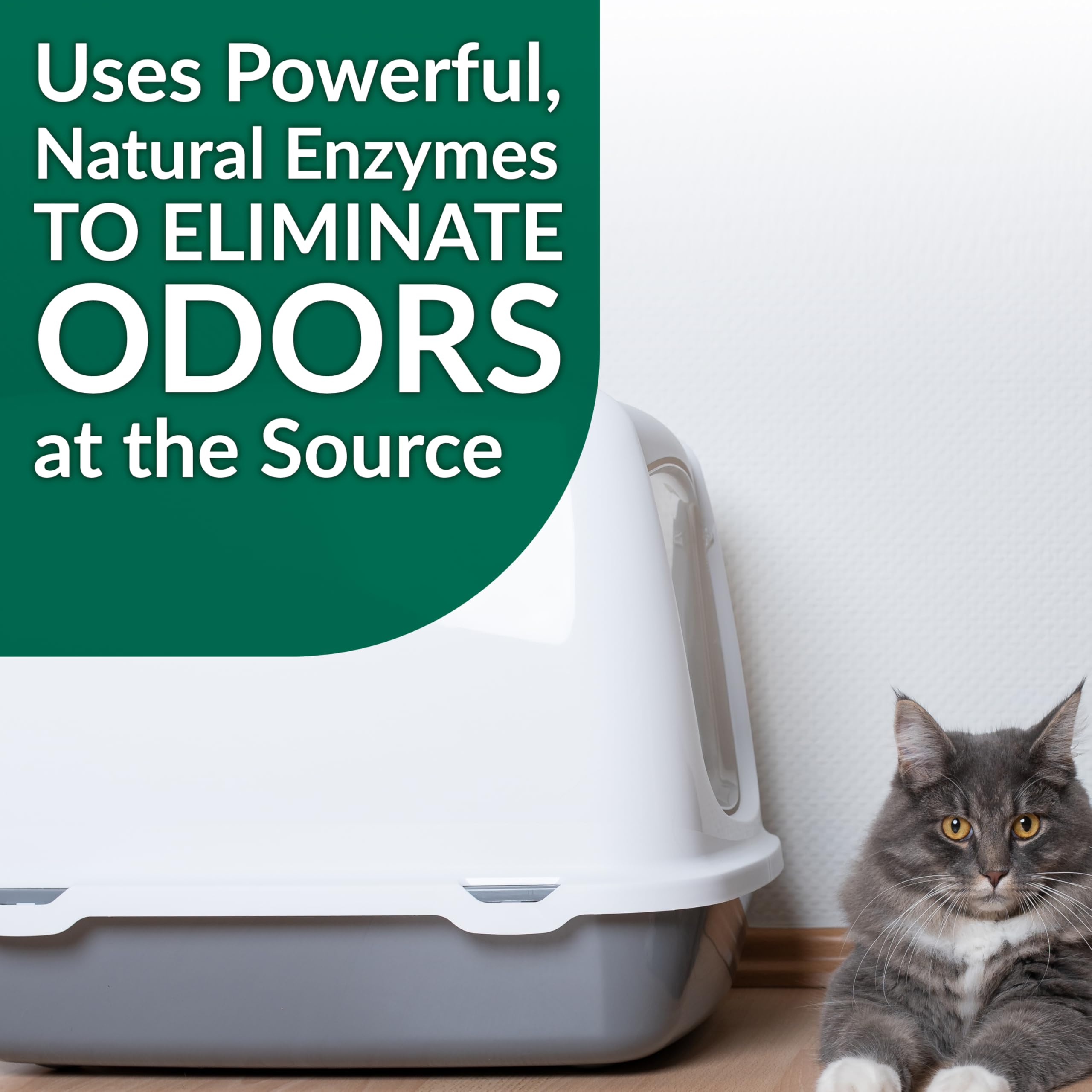 Cat Stain & Odor Remover - Enzyme Cleaner for Cat Urine, Feces, Blood, Vomit - 32oz - Image 5