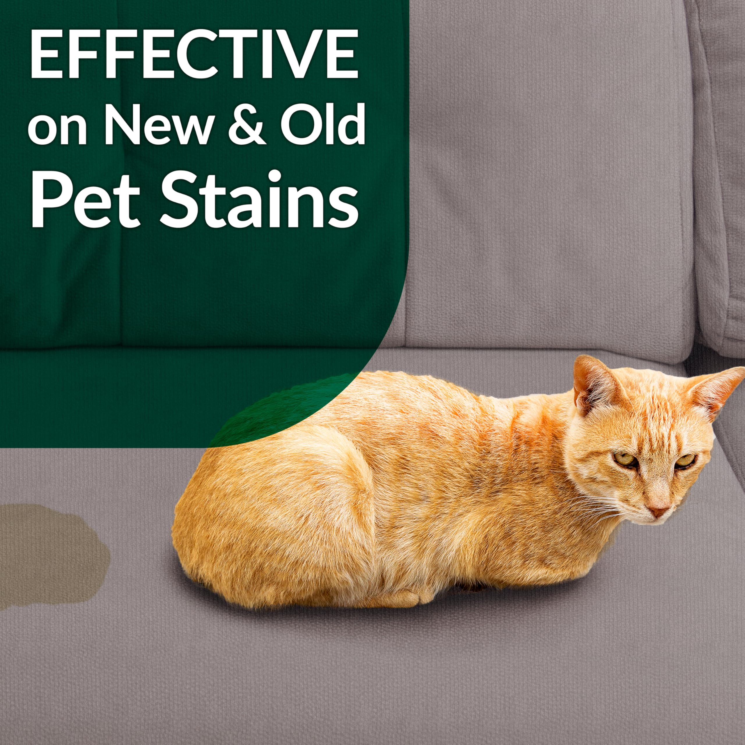 Cat Stain & Odor Remover - Enzyme Cleaner for Cat Urine, Feces, Blood, Vomit - 32oz - Image 7